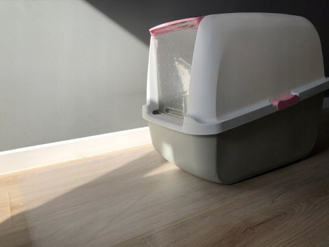 Przezroczysta mata pod kuwetę PetGLASS™ 50x60cm