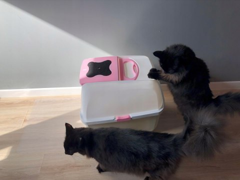 Przezroczysta mata pod kuwetę PetGLASS™ 50x60cm