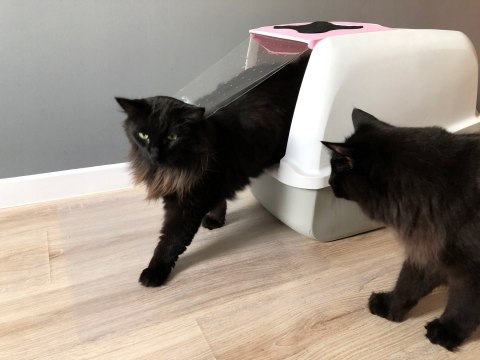 Przezroczysta mata pod kuwetę PetGLASS™ 60x80cm