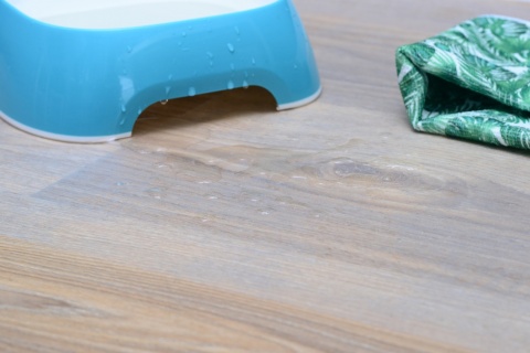 Przezroczysta mata pod miski PetGLASS™ 50x50cm