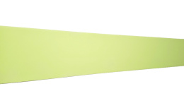 Self-adhesive wall guard WallC™, LM-pastel lime, 20x250cm