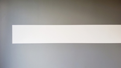 Odbojnica ścienna dekoracyjna WALLex 50x120cm WH